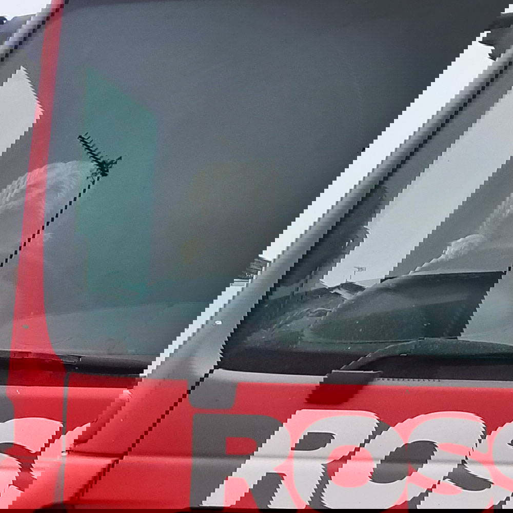 dog truck WEB